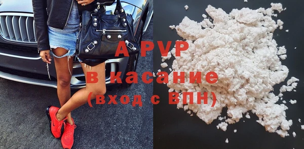 шишки Алзамай