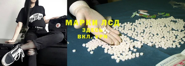 шишки Алзамай