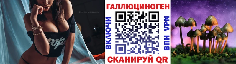 Галлюциногенные грибы Psilocybine cubensis  Купить закладки  Бикин 